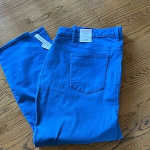 Talbots Women’s 20WP Jegging Curvy Fit